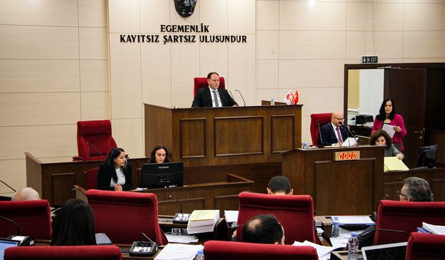 Genel Kurul denetim göreviyle toplanacak