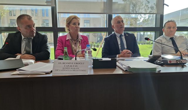 Ekonomi ve Enerji Bakanlığı bütçesi Komitede oy çokluğuyla geçti