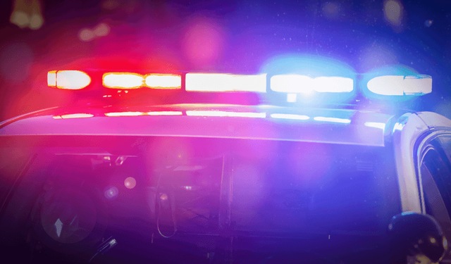 Ülkede izinsiz ikamet eden 11 kişi tutuklandı