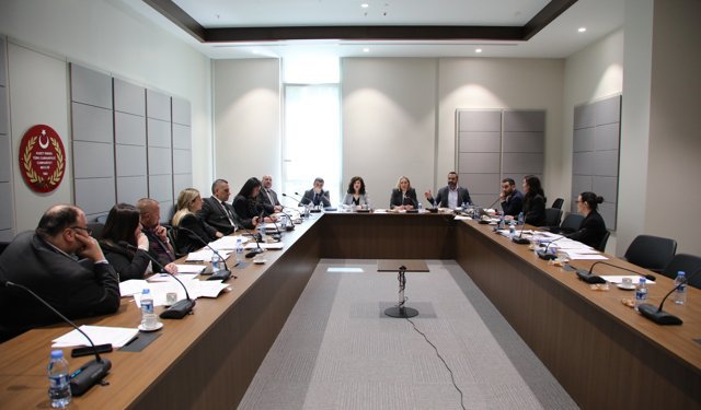 Hukuk, Siyasi İşler, Dışilişkiler ve Savunma Komitesi, Ceza (Değişiklik) Yasa Tasarısı’nı görüştü