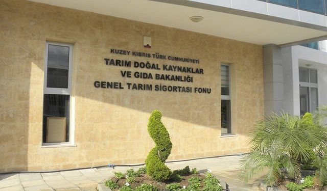 Dolu ve fırtına zararları için son başvuru 4 Eylül