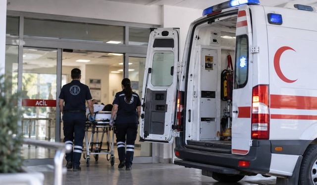 Kediyi kurtarmak isterken elektrik akımına kapıldı