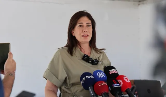 İncirli: Kadın cinayetleri siyasidir
