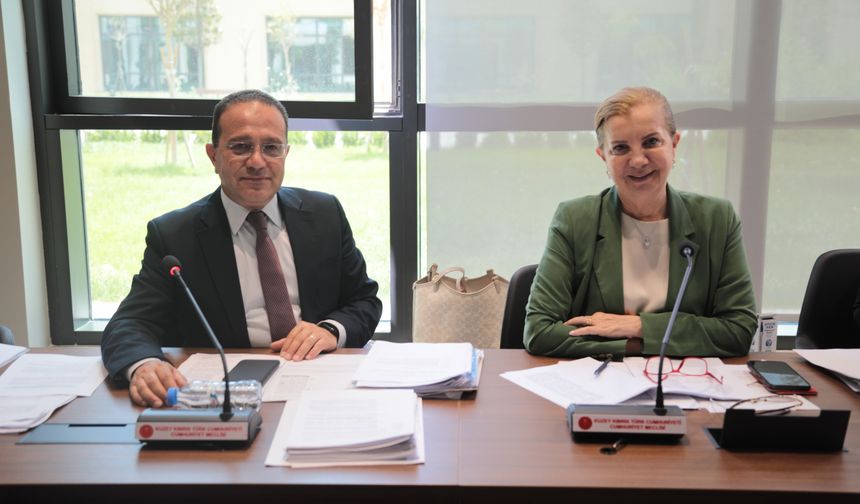 Cumhuriyet Meclisi, Ekonomi, Maliye, Bütçe ve Plan Komitesi toplandı