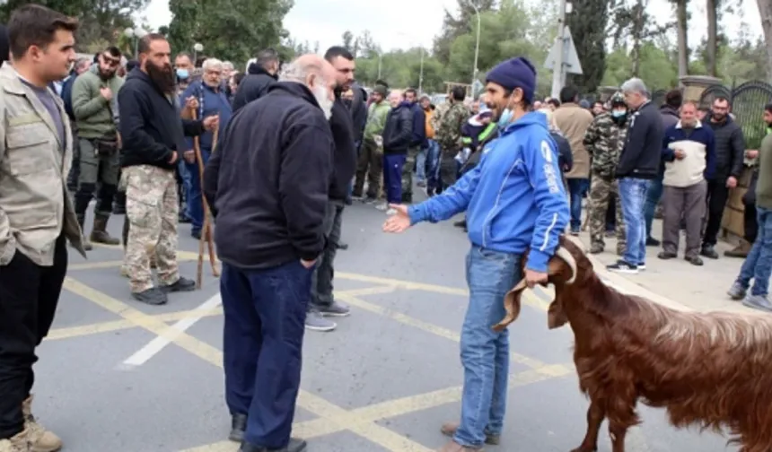 Güney Kıbrıs’ta Avcılar yeniden sokaklara çıktı.