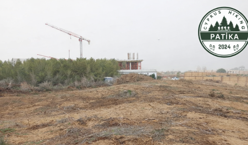 Patika Doğa Sporları Derneği İskele’de ağaç sökülmesinin durdurulmasını istedi