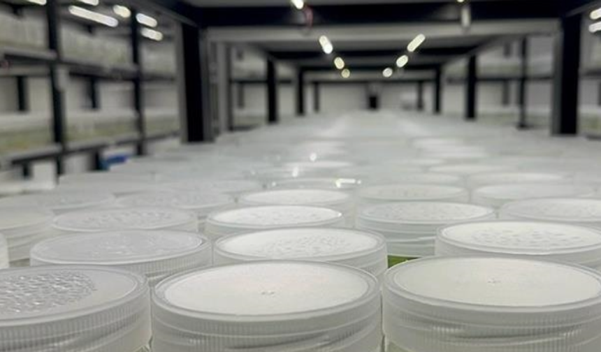 ABD'de "yasa dışı biyolojik laboratuvar" işletildiği şüphesiyle İsrail vatandaşı 1 kişi gözaltına alındı