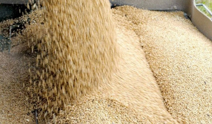 TÜK, arpa sevkiyatının olumsuz hava koşulları nedeniyle tamamlanamadığını duyurdu