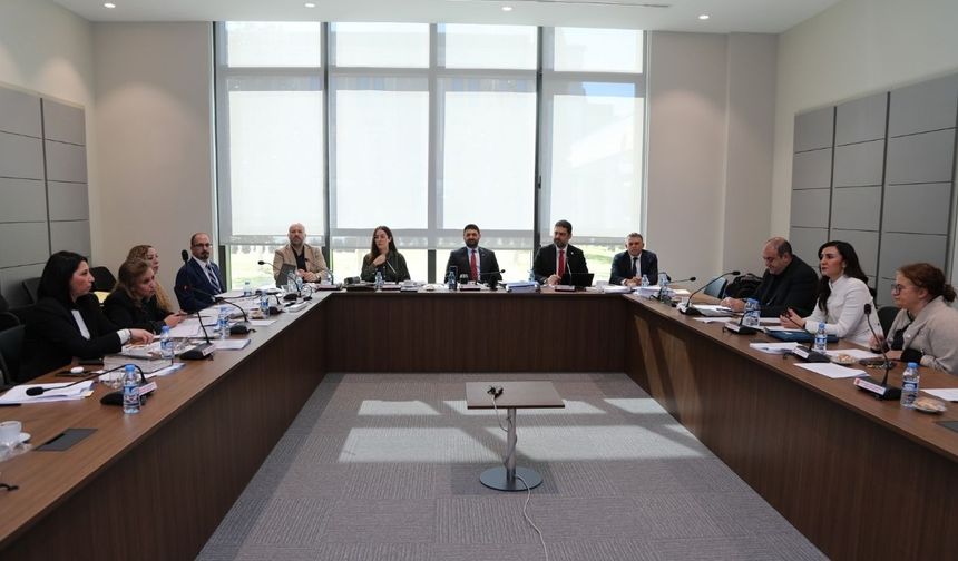 İdari, Kamu ve Sağlık İşleri Komitesi, gündemindeki yasa önerilerini görüştü