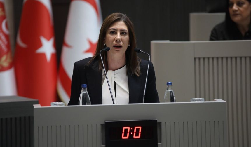 İncirli: Sağlıkta sorunlar bitmiyor