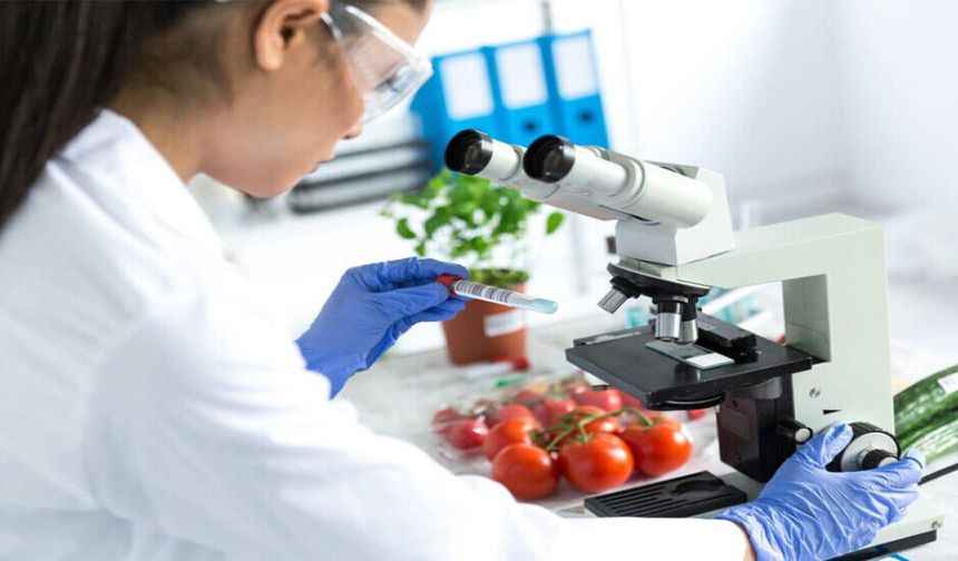 Gıda Denetim Raporu: Biber, Domates ve Salatalıkta Limit Aşımı