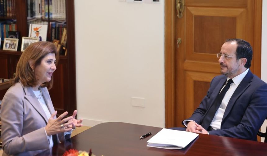 Holguin'den Kıbrıs Sorununda İlerleme Mesajı